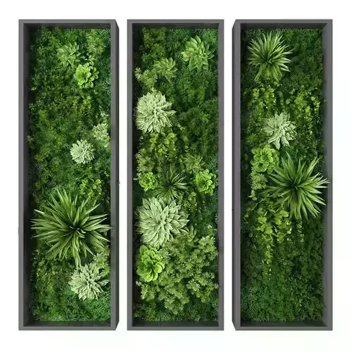 Vertical garden 234