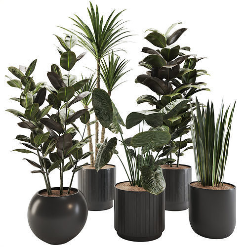 plant-set-02 3D model