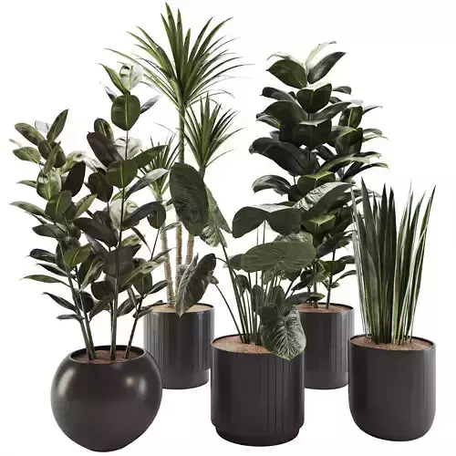 plant-set-02