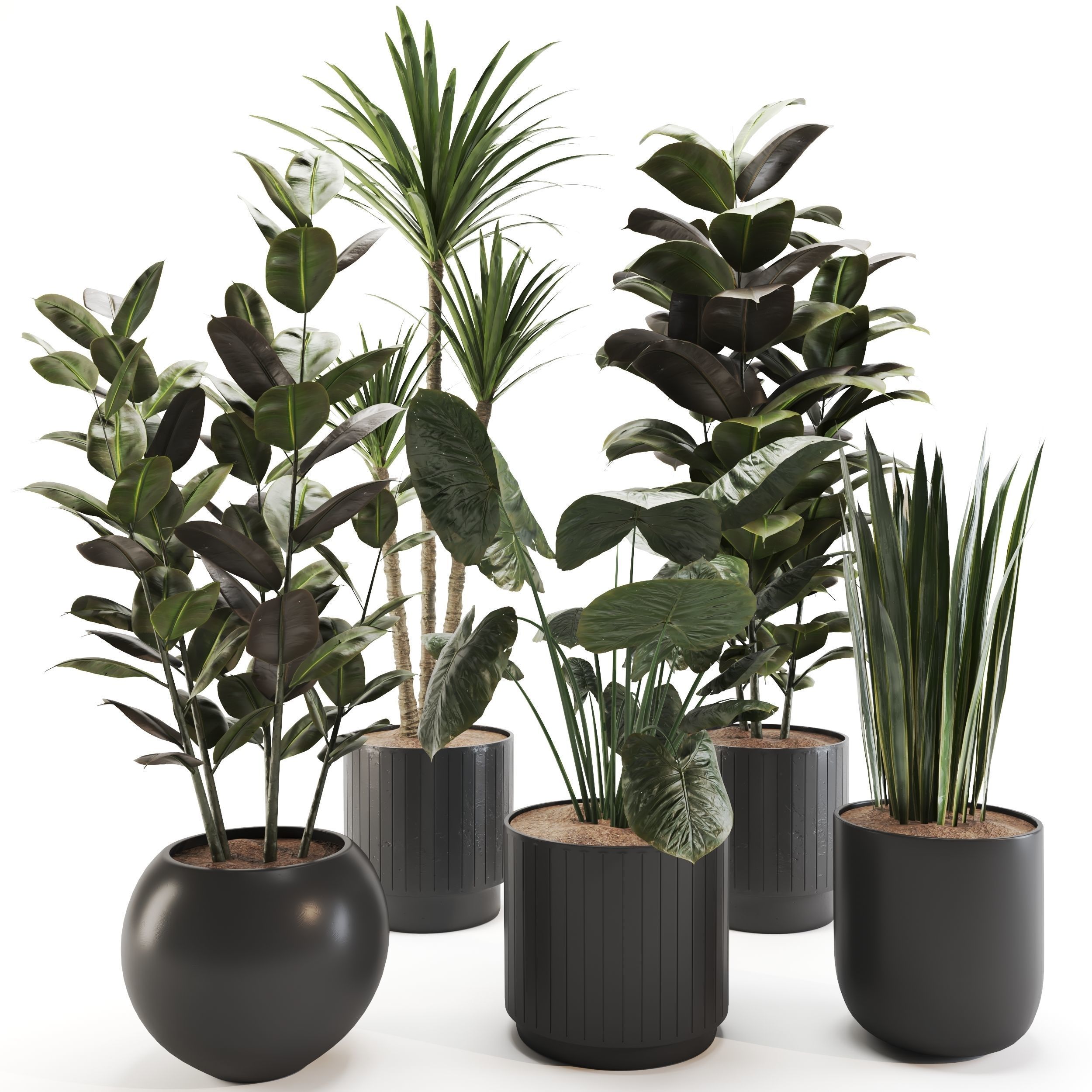 plant-set-02 3D model_8