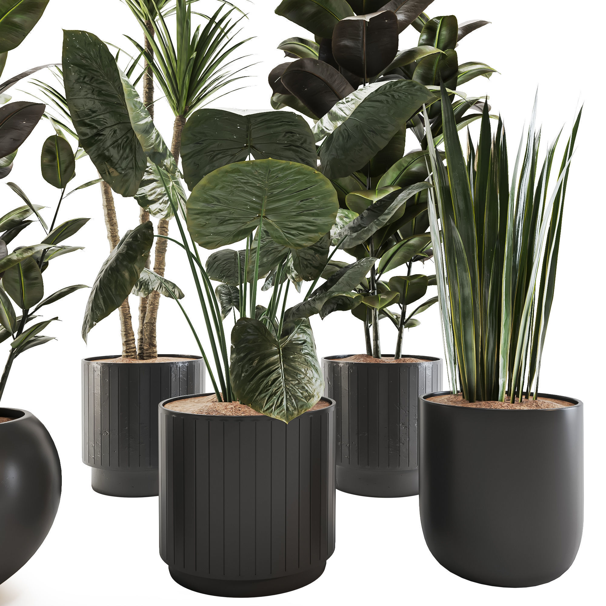 plant-set-02 3D model_1