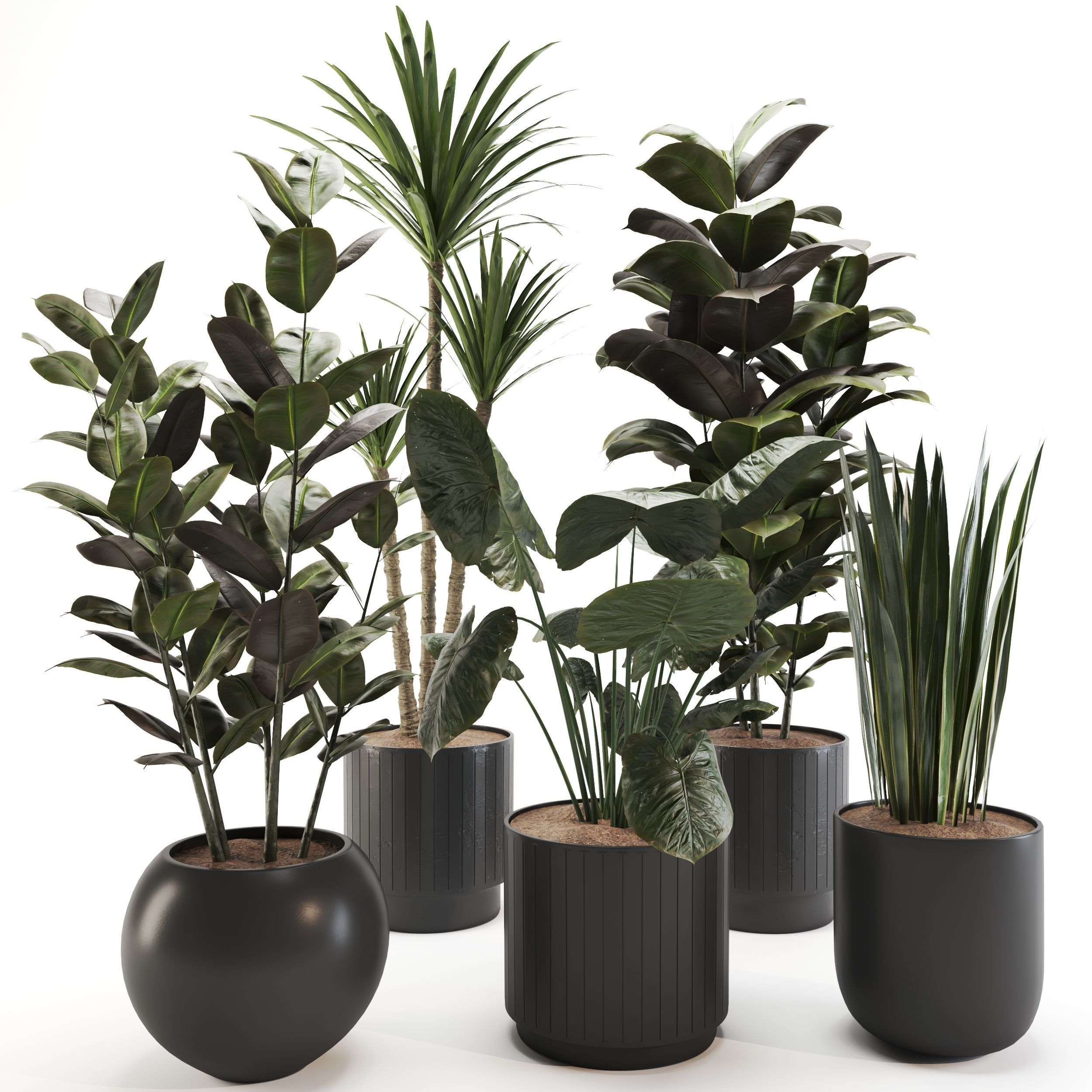 plant-set-02 3D model_4