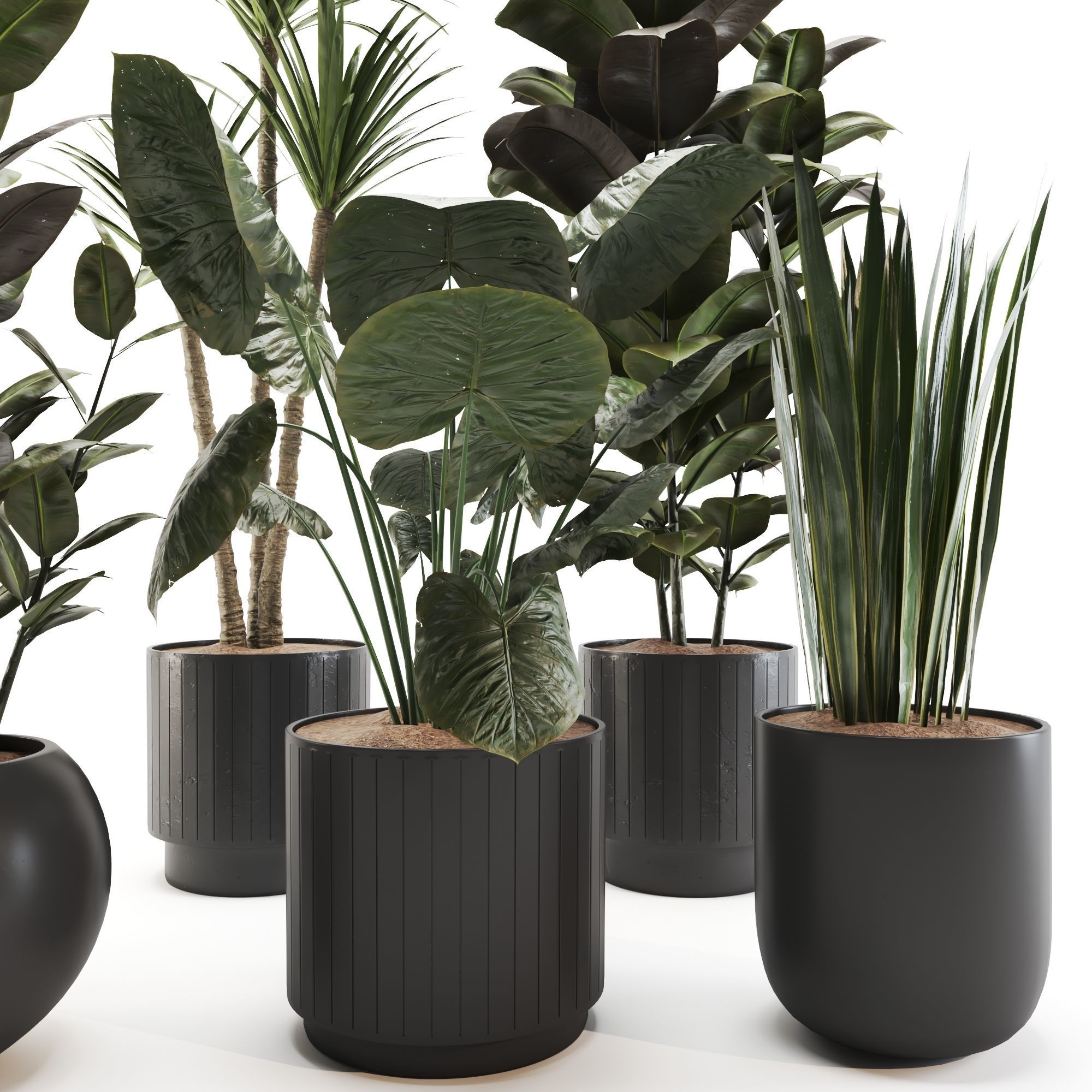 plant-set-02 3D model_6