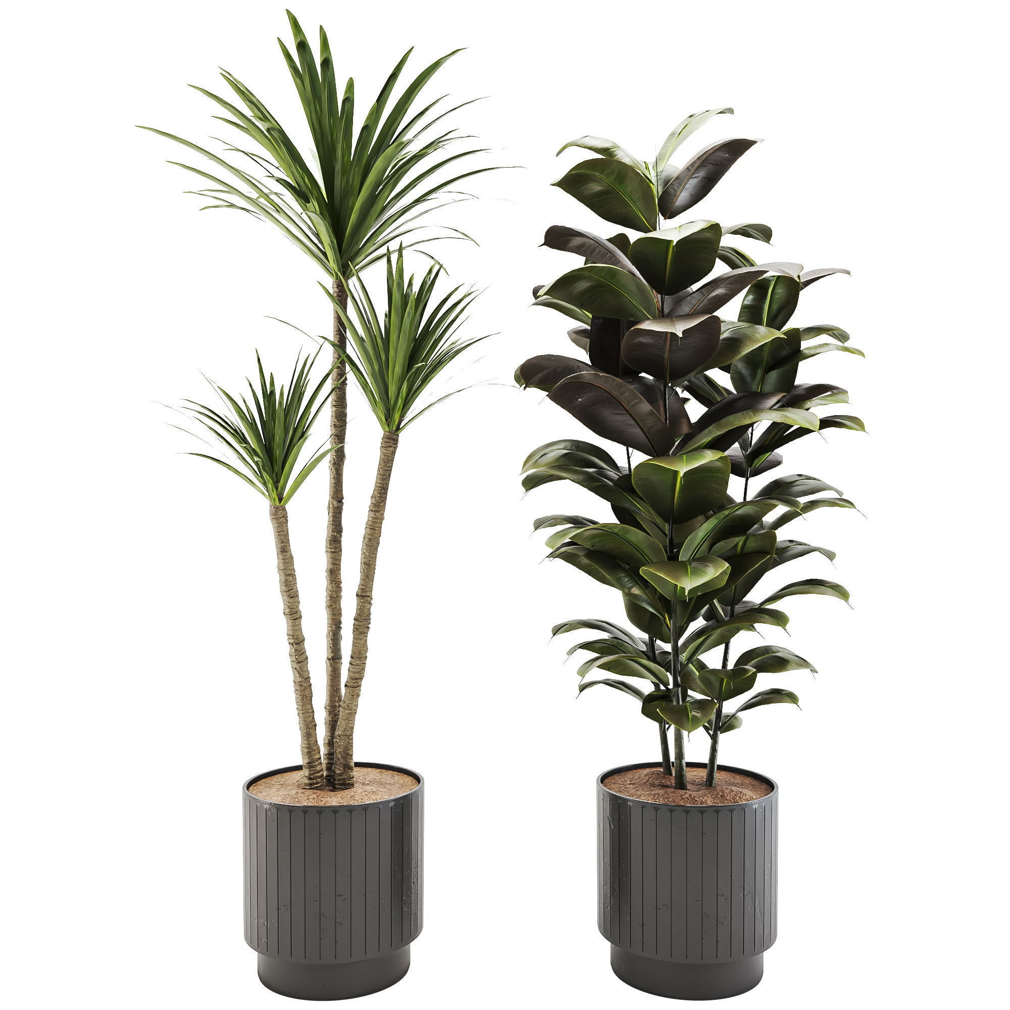 plant-set-02 3D model_3