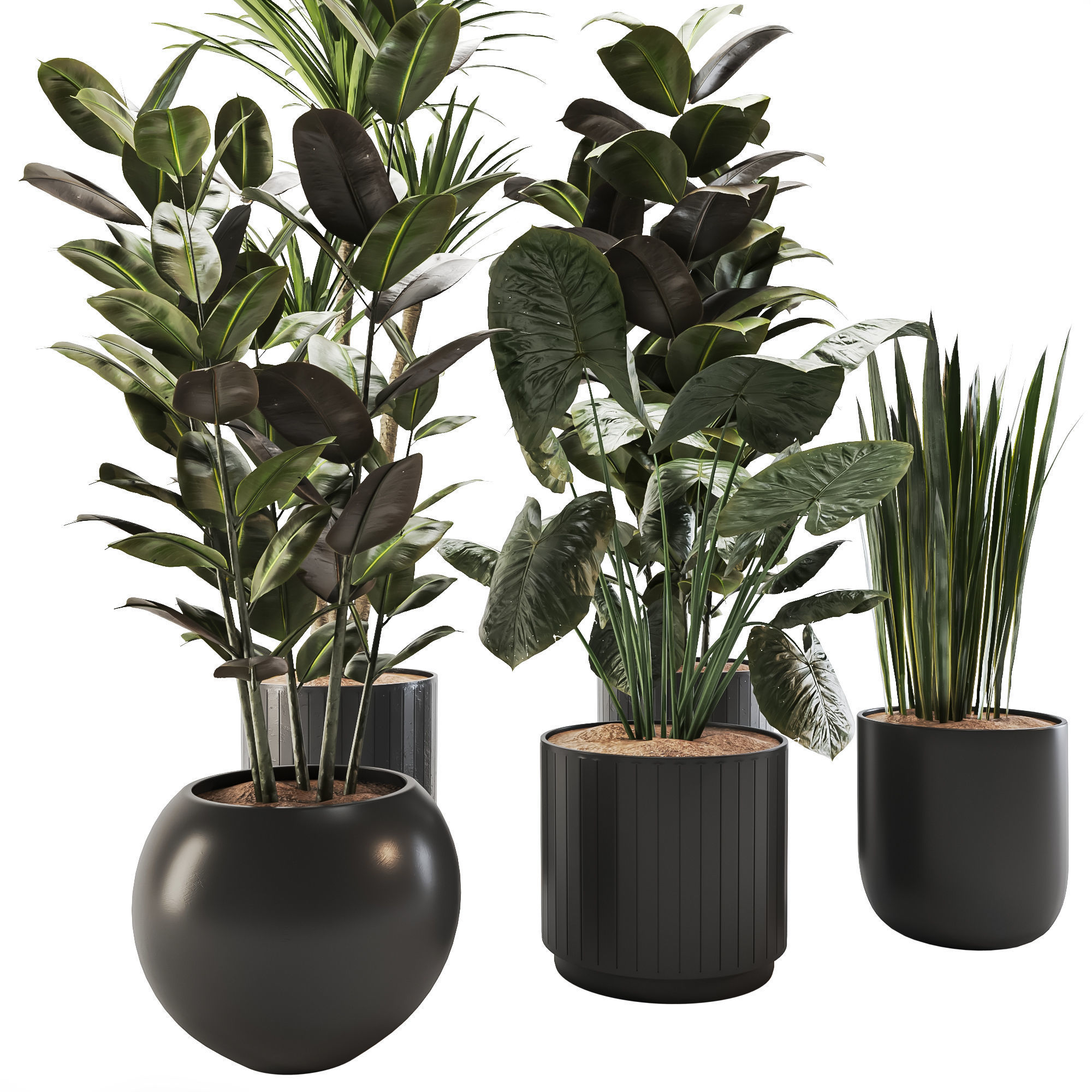 plant-set-02 3D model_2