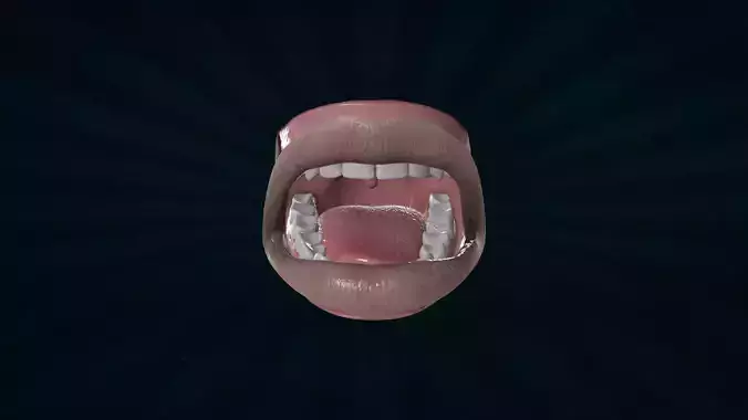 LIPS-002 Rigged Mouth 3D model