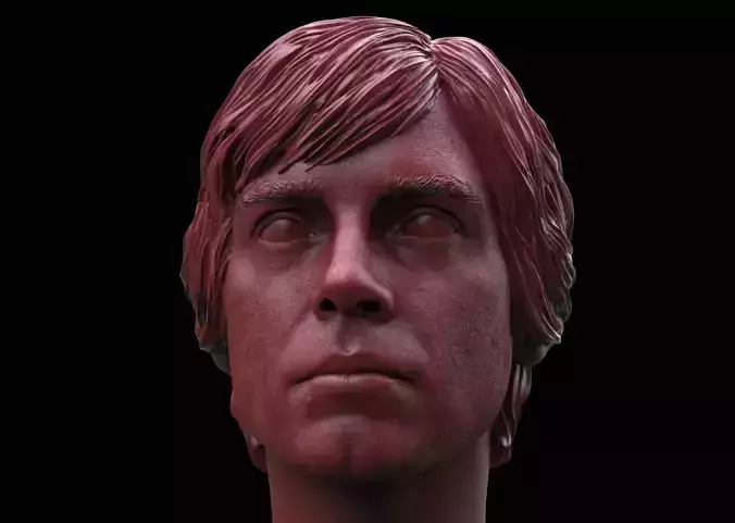 Luke Skywalker Head 3D print model