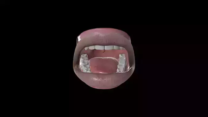 TMTH-002 Rigged Mouth 3D model