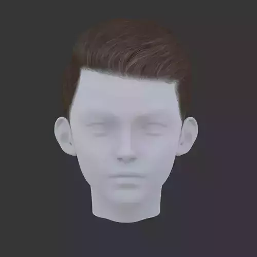 3D Polygon Hair for game Low-poly 3D model -v3