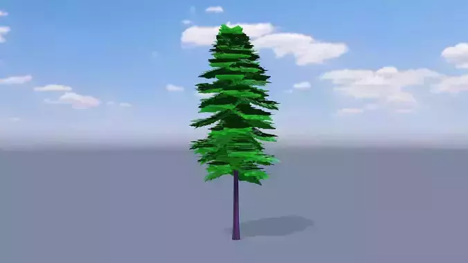 Tree pine type