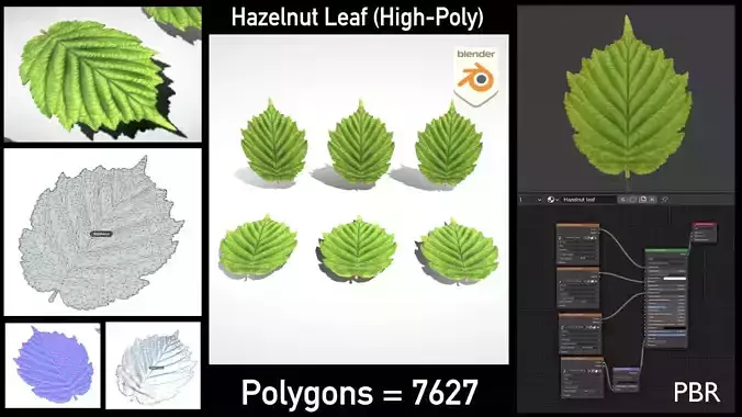 Hazelnut Leaf High-Poly