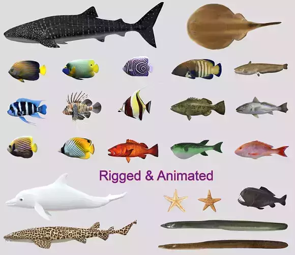 Fish Collection Animated - Game Ready Pack 6 