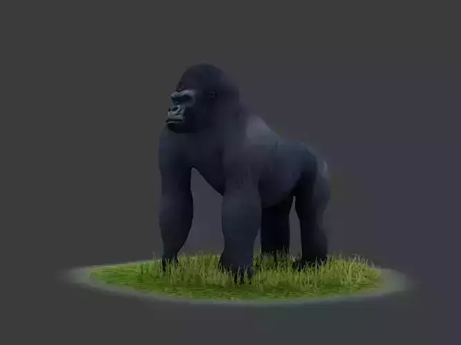 Bush chimpanzees silverback gorillas humanoids