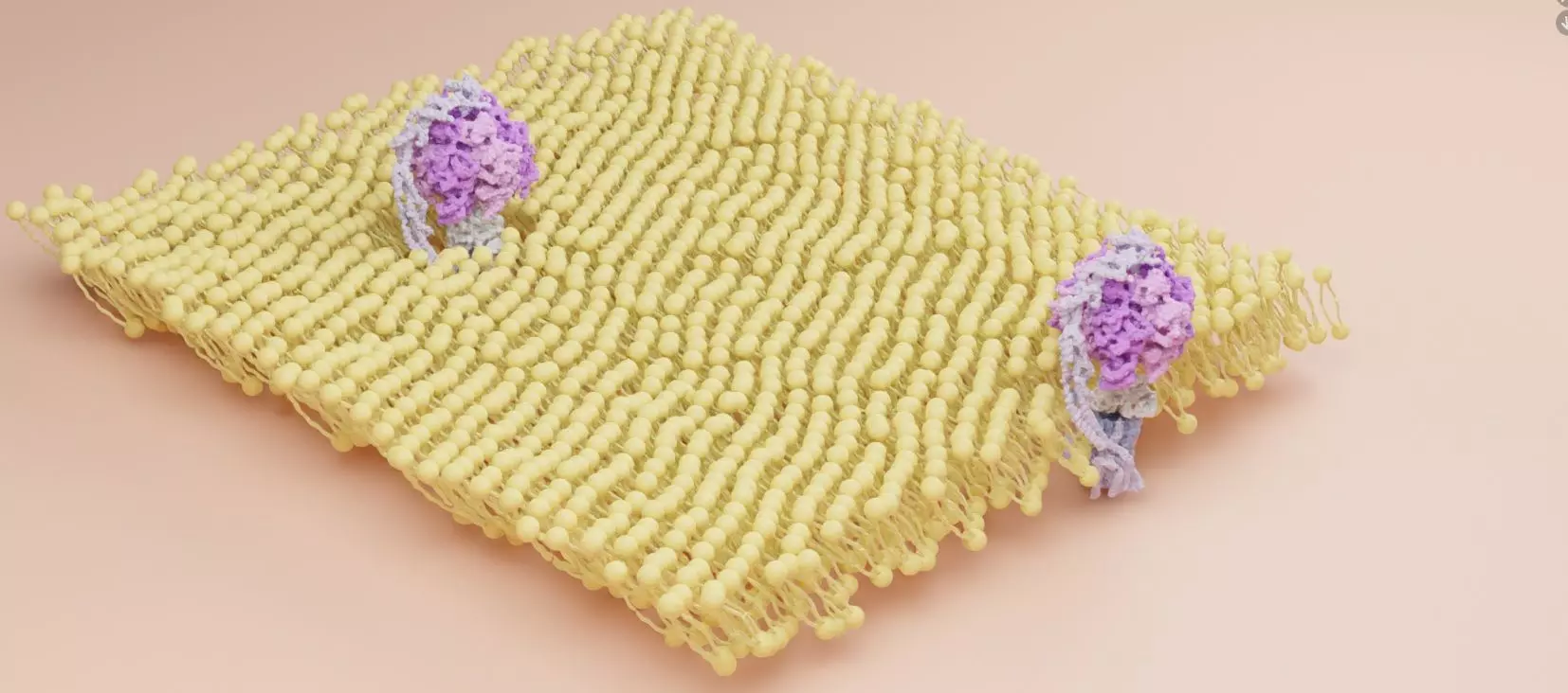 ATP synthase 3D model_0