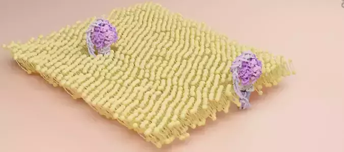 ATP synthase 3D model