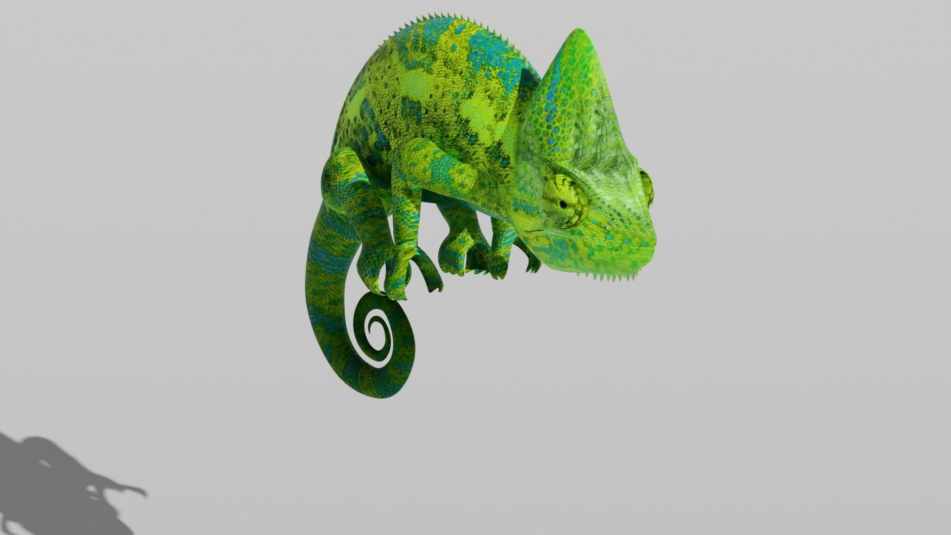 Green Chameleon Low-poly 3D model_18