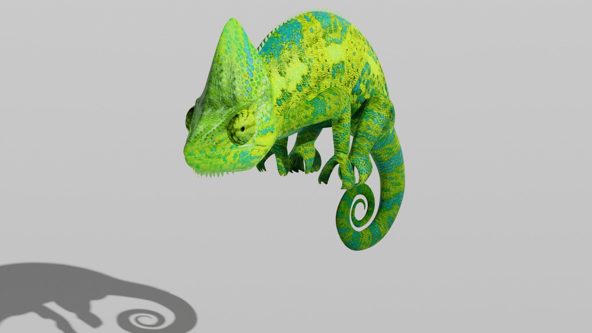 Green Chameleon Low-poly 3D model_13