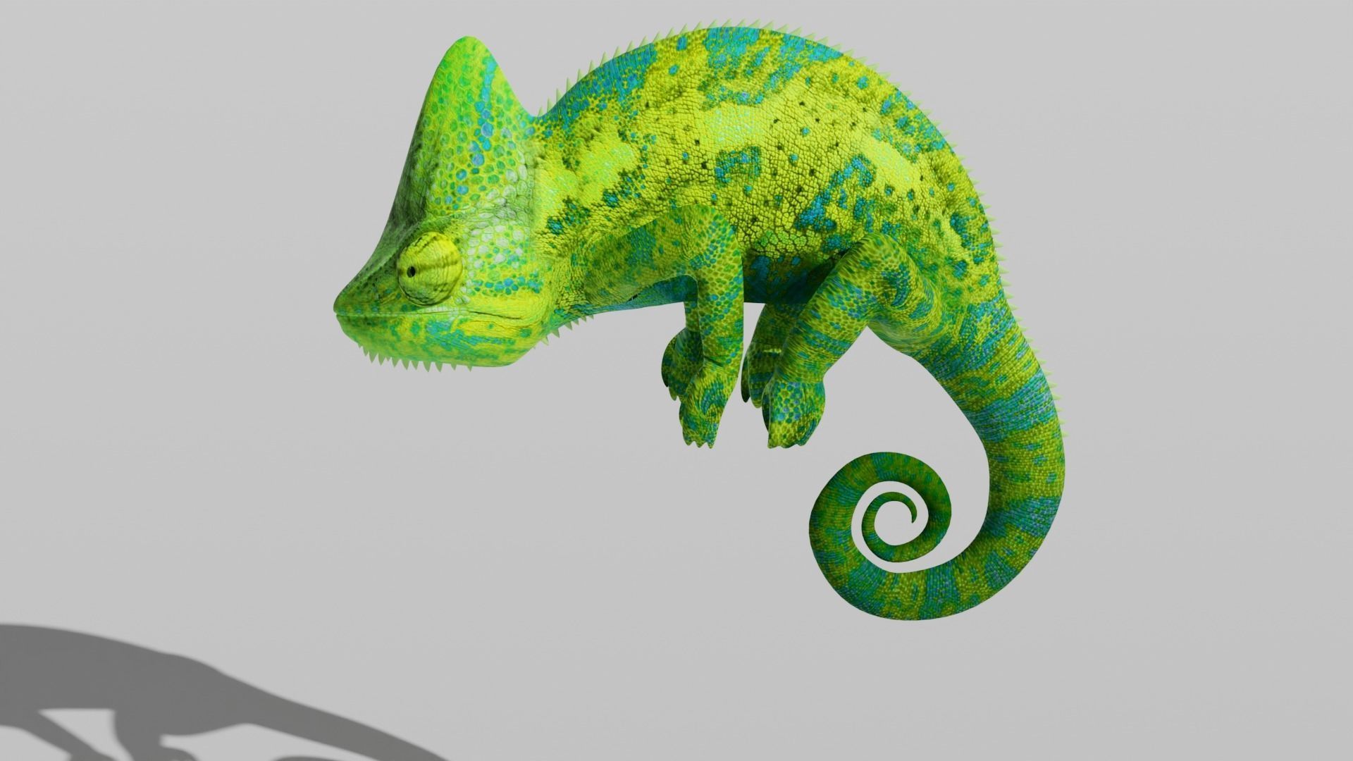 Green Chameleon Low-poly 3D model_12