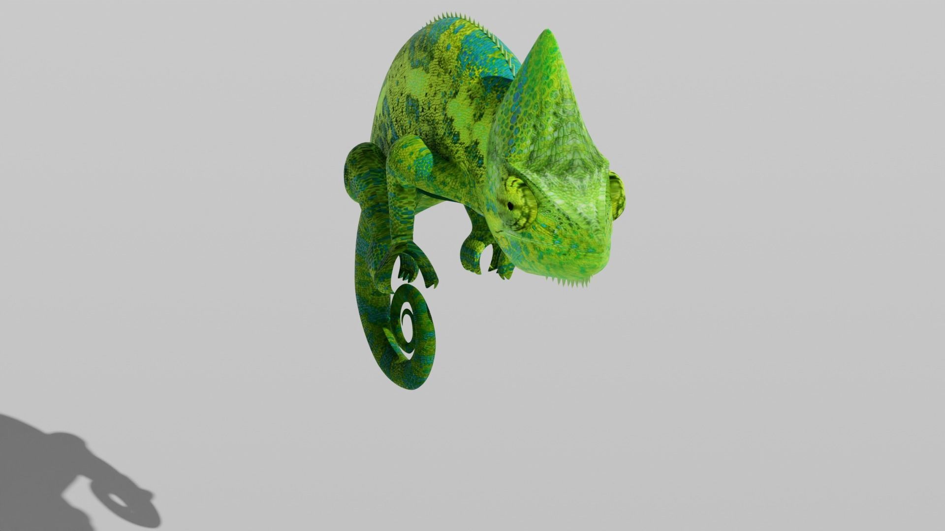 Green Chameleon Low-poly 3D model_17