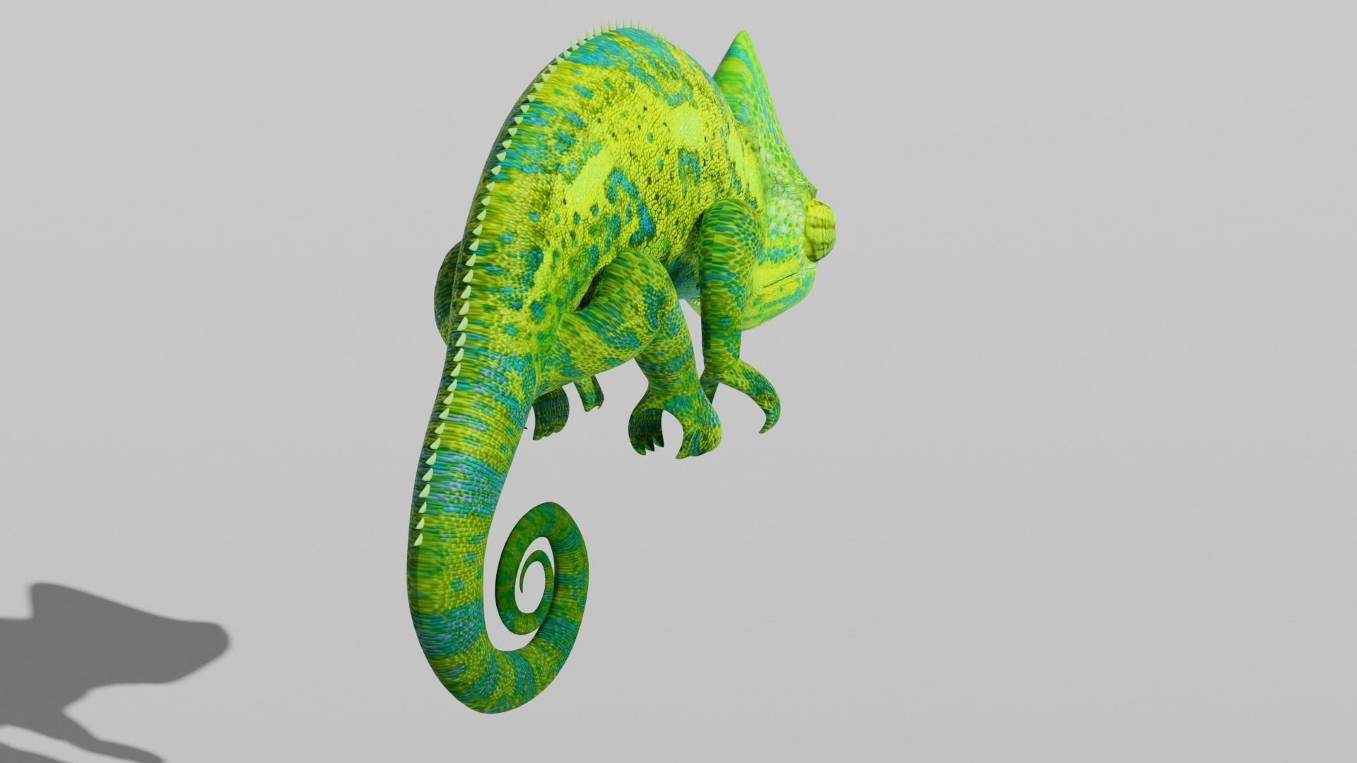 Green Chameleon Low-poly 3D model_7