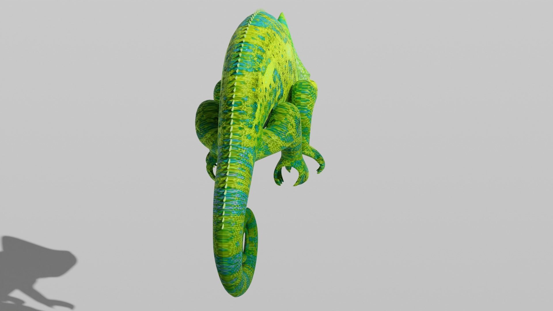 Green Chameleon Low-poly 3D model_8