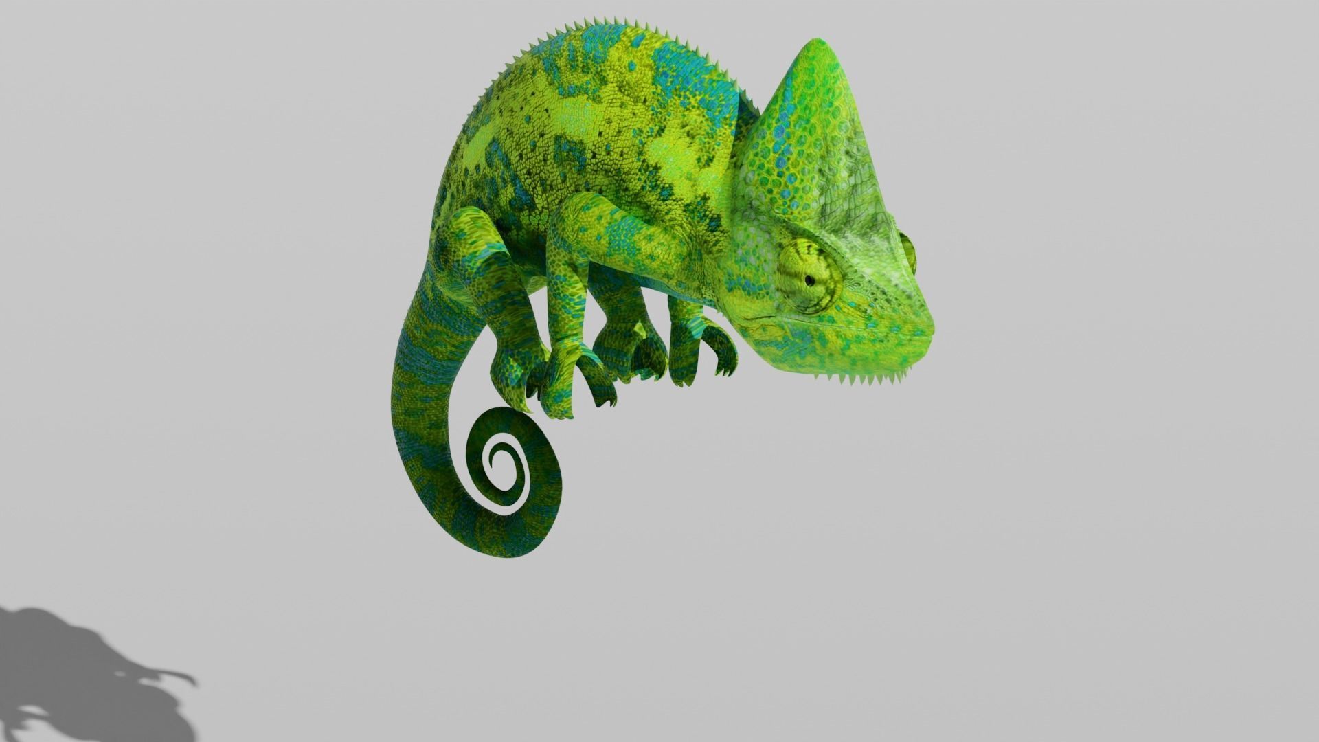 Green Chameleon Low-poly 3D model_20
