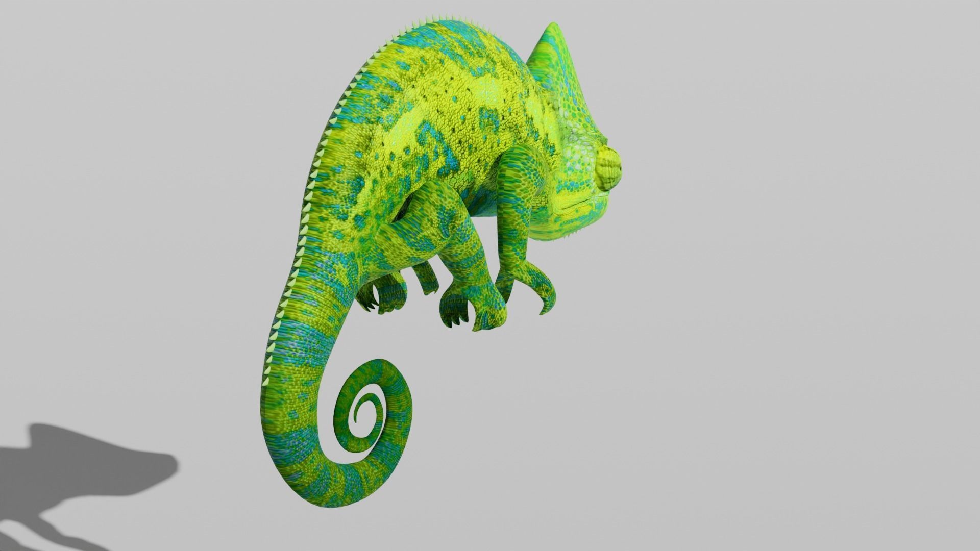 Green Chameleon Low-poly 3D model_6
