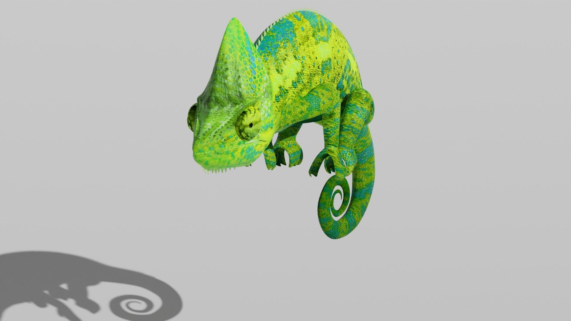 Green Chameleon Low-poly 3D model_14