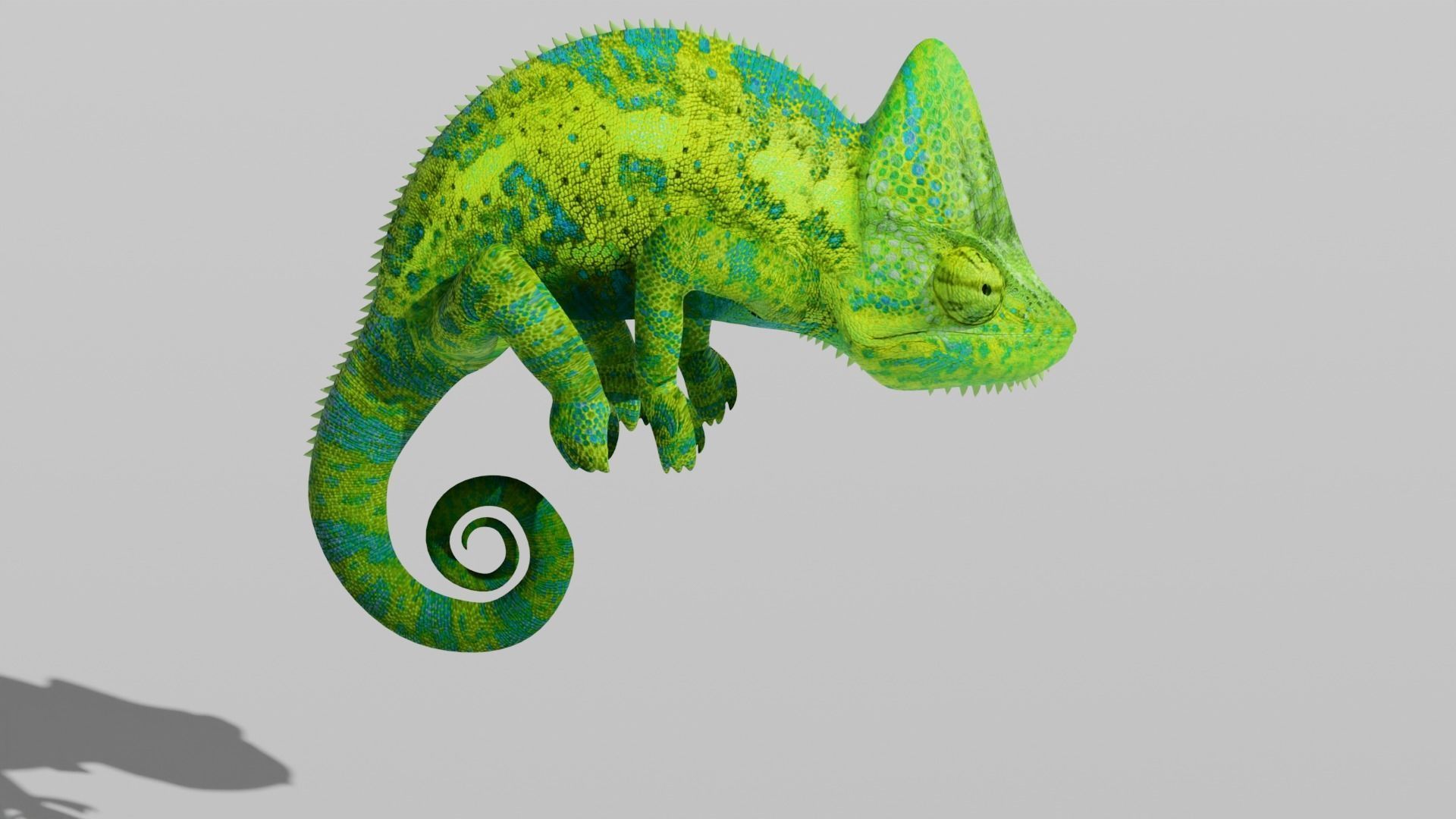 Green Chameleon Low-poly 3D model_4