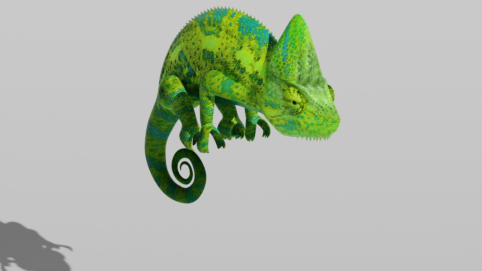 Green Chameleon Low-poly 3D model_19