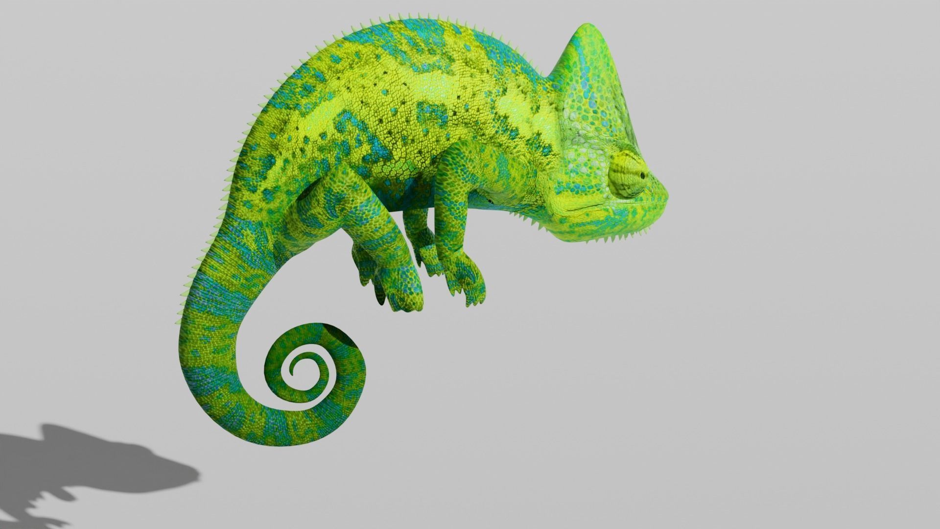 Green Chameleon Low-poly 3D model_5