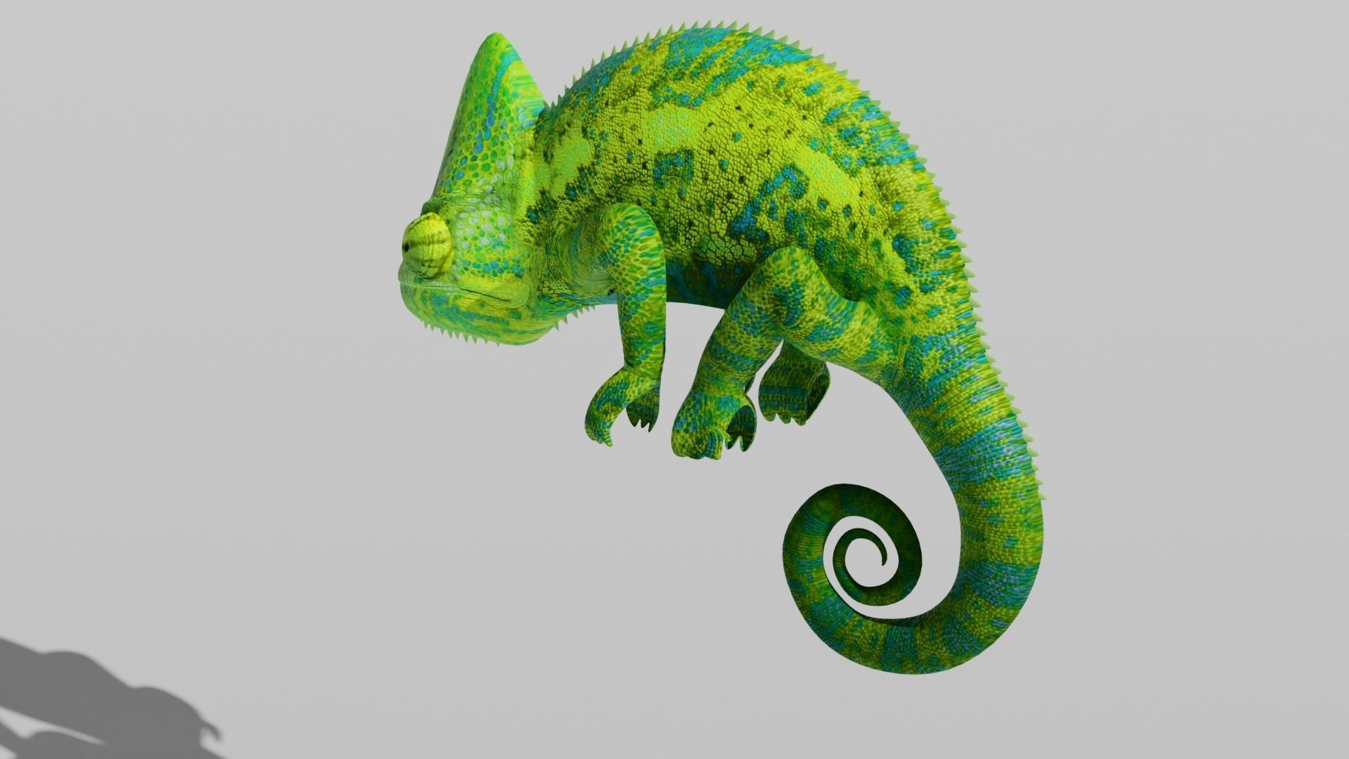 Green Chameleon Low-poly 3D model_11