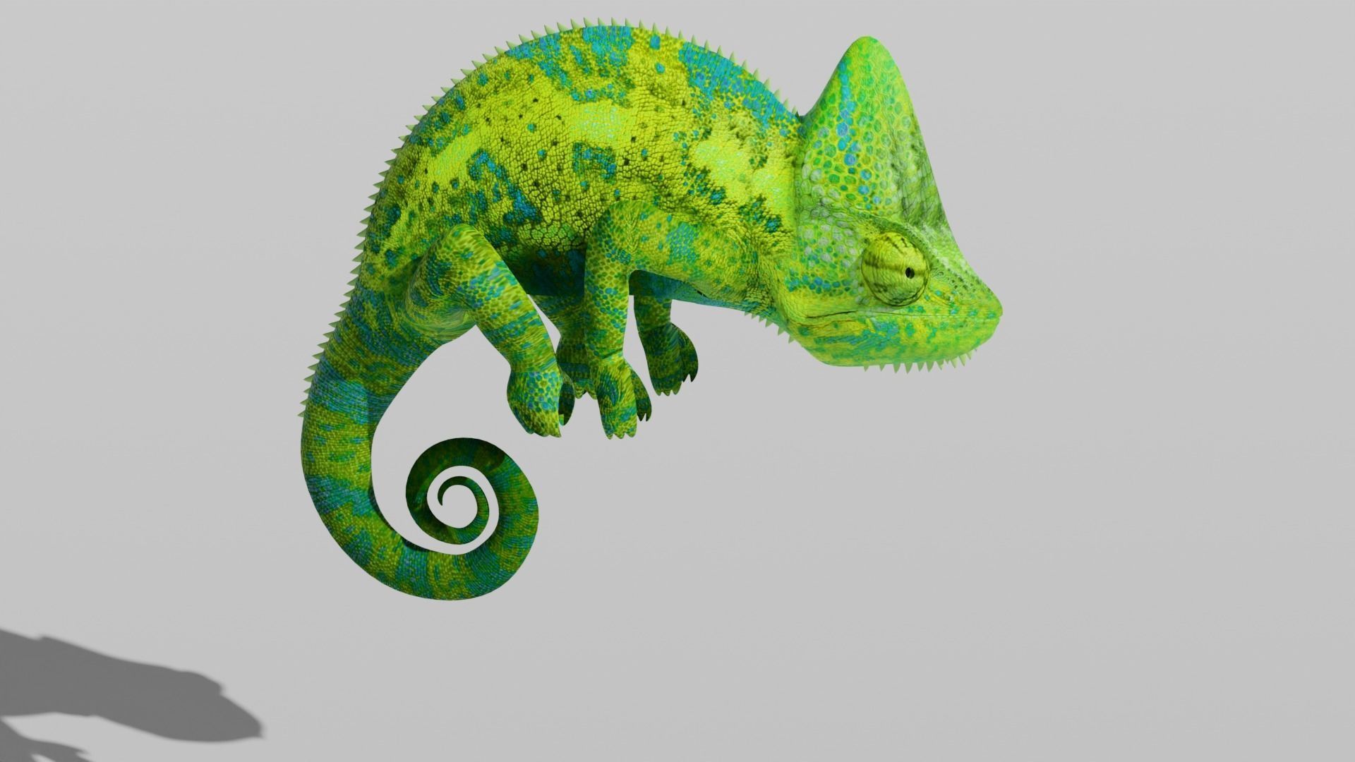 Green Chameleon Low-poly 3D model_3