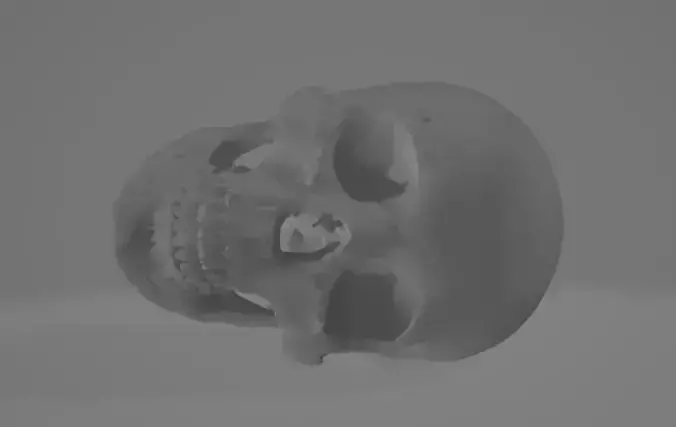 scull free download Free low-poly 3D model