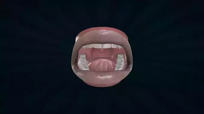 LIPS-003 Rigged Mouth 3D model