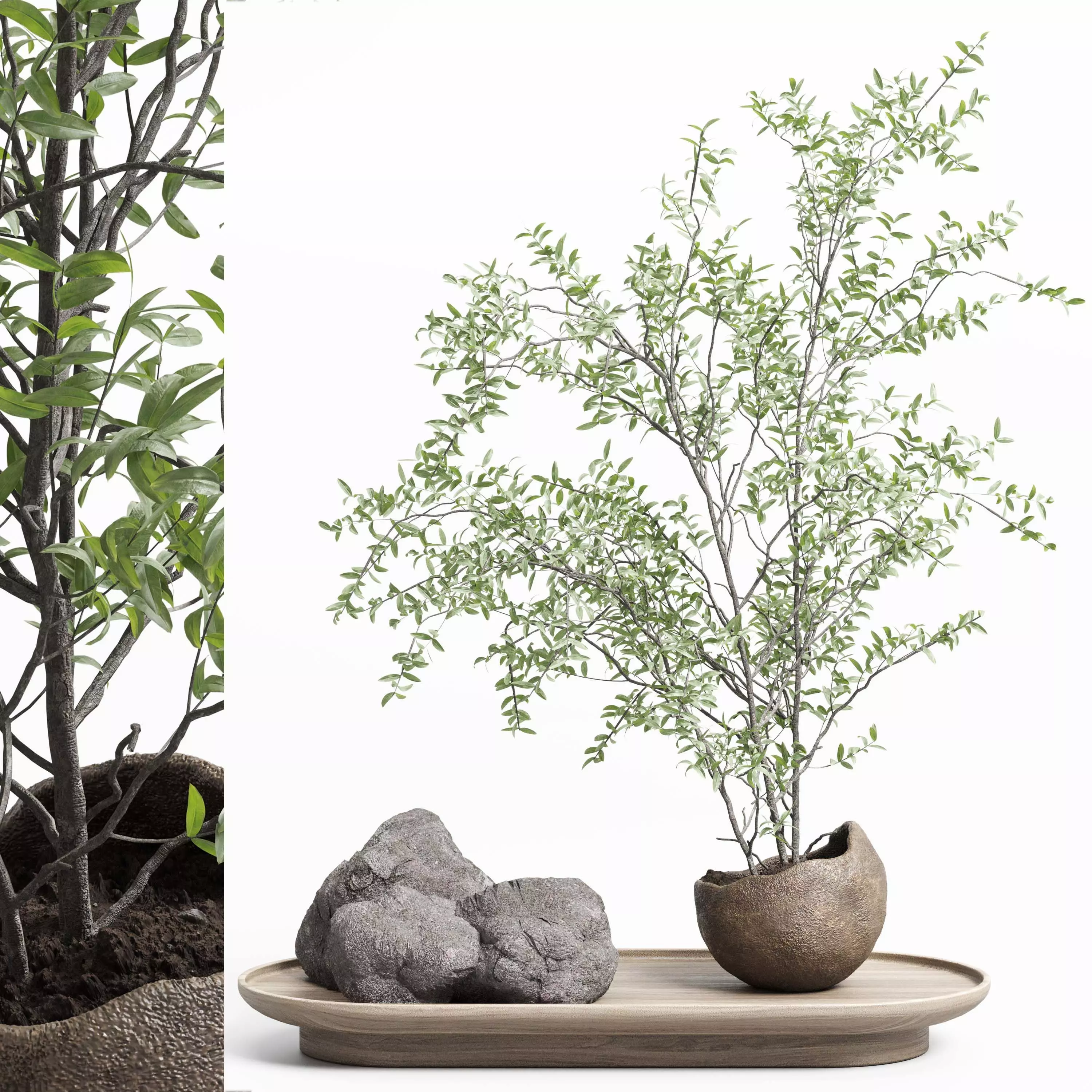 Pulm branch in dirty brown concrete vase - bouquet set 37 Low-poly 3D model