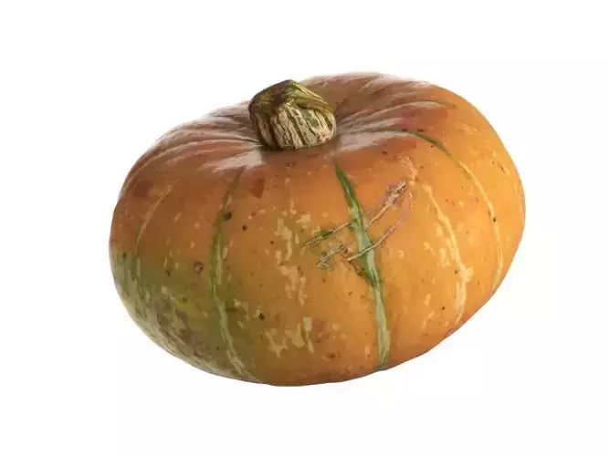 Round pumpkin 1