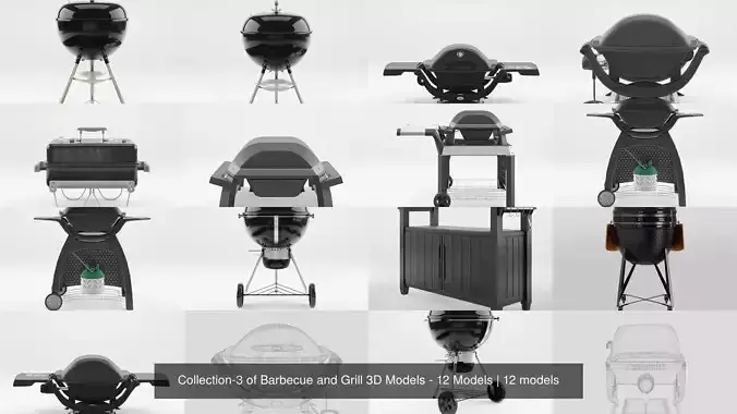Collection-3 of Barbecue and Grill 3D Models - 12 Models 