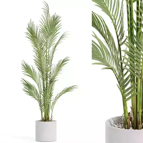 Plants collection 991 3D model