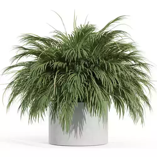 Plants collection 997 3D model