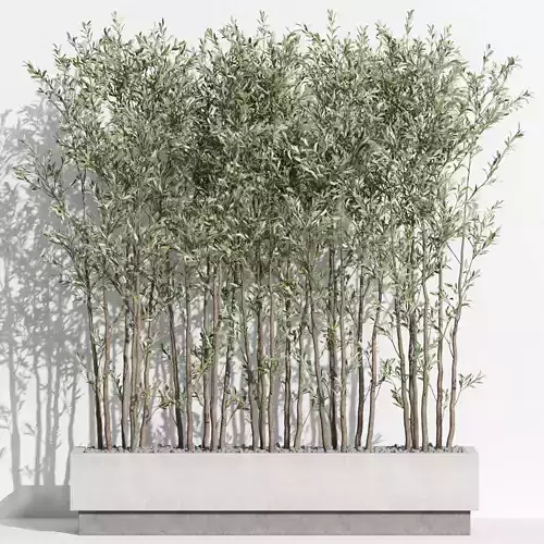 Plants collection 998 3D model