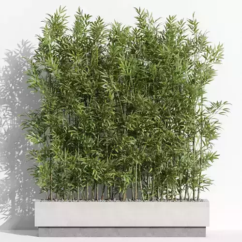 Plants collection 999 3D model