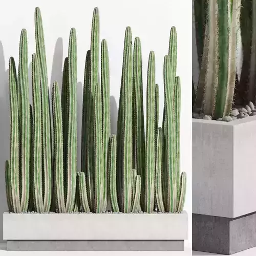 Plants collection 1000 3D model