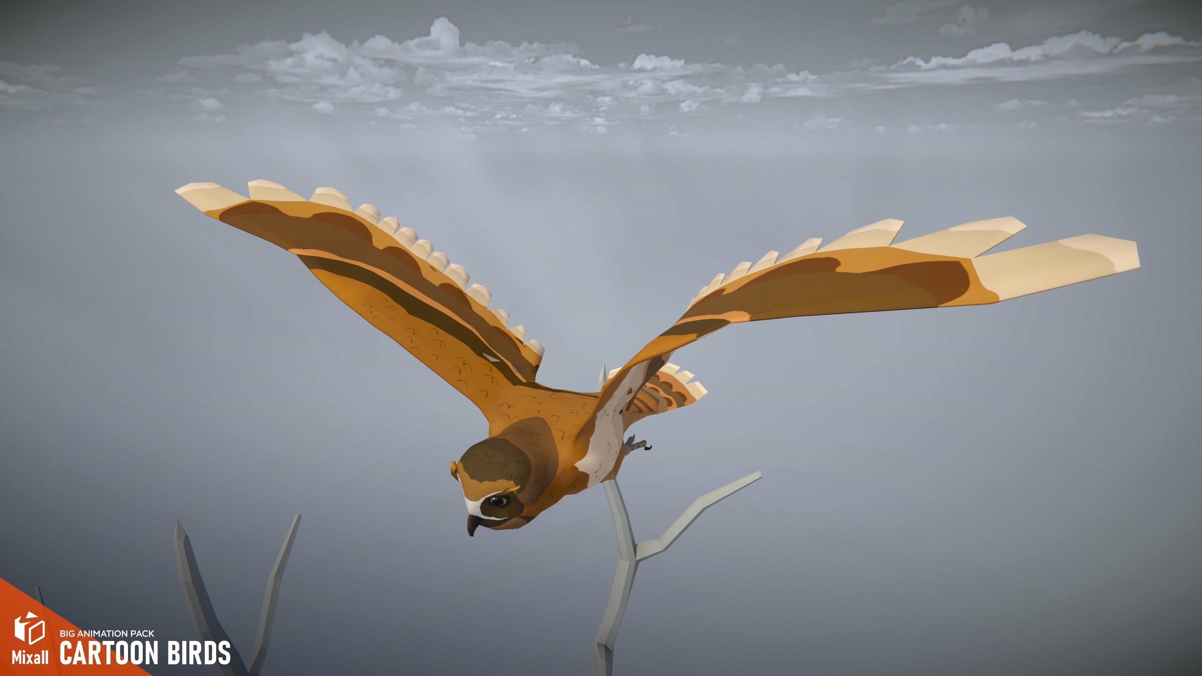 Cartoon birds - big animation pack 3D model_5