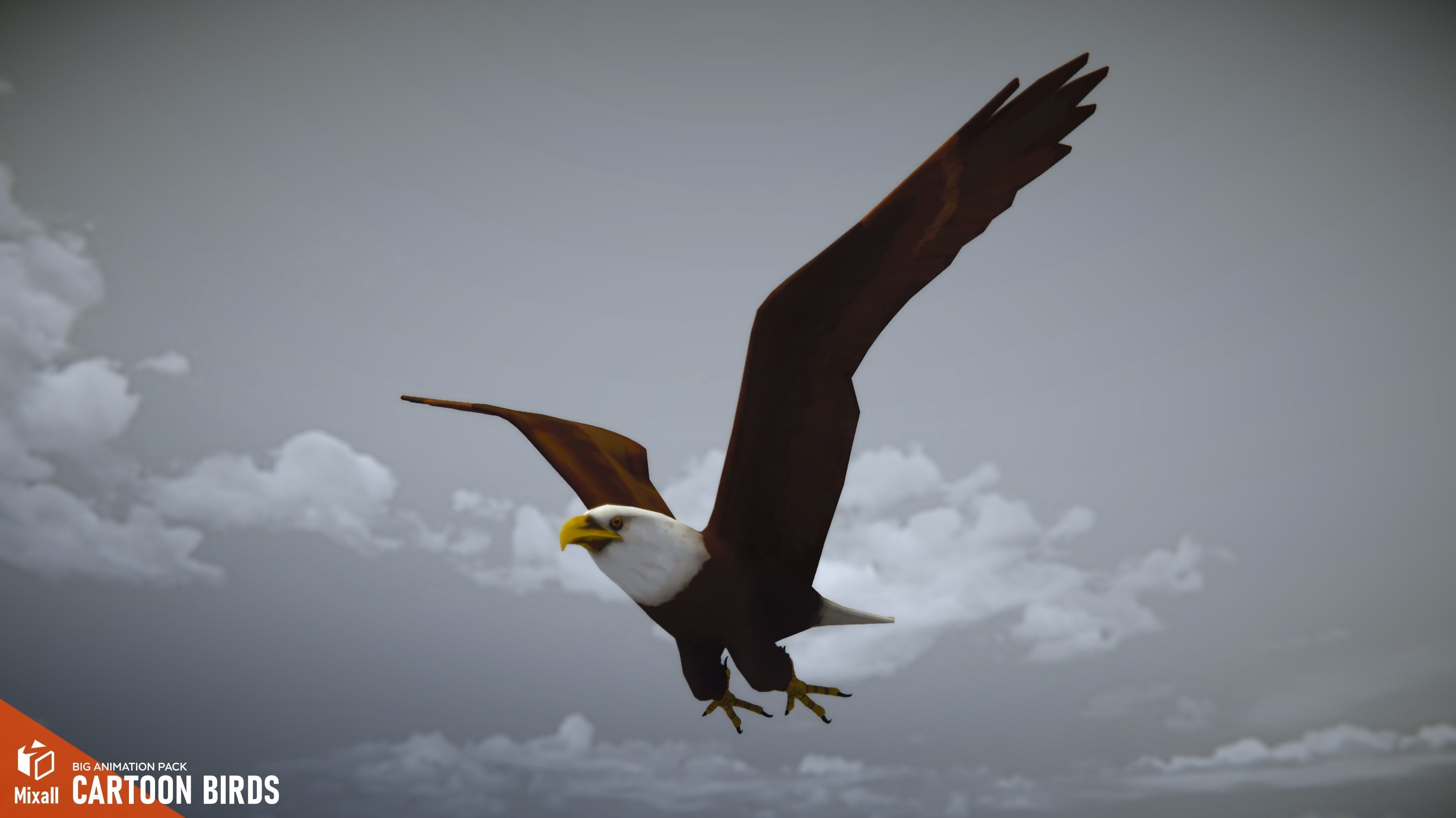 Cartoon birds - big animation pack 3D model_10