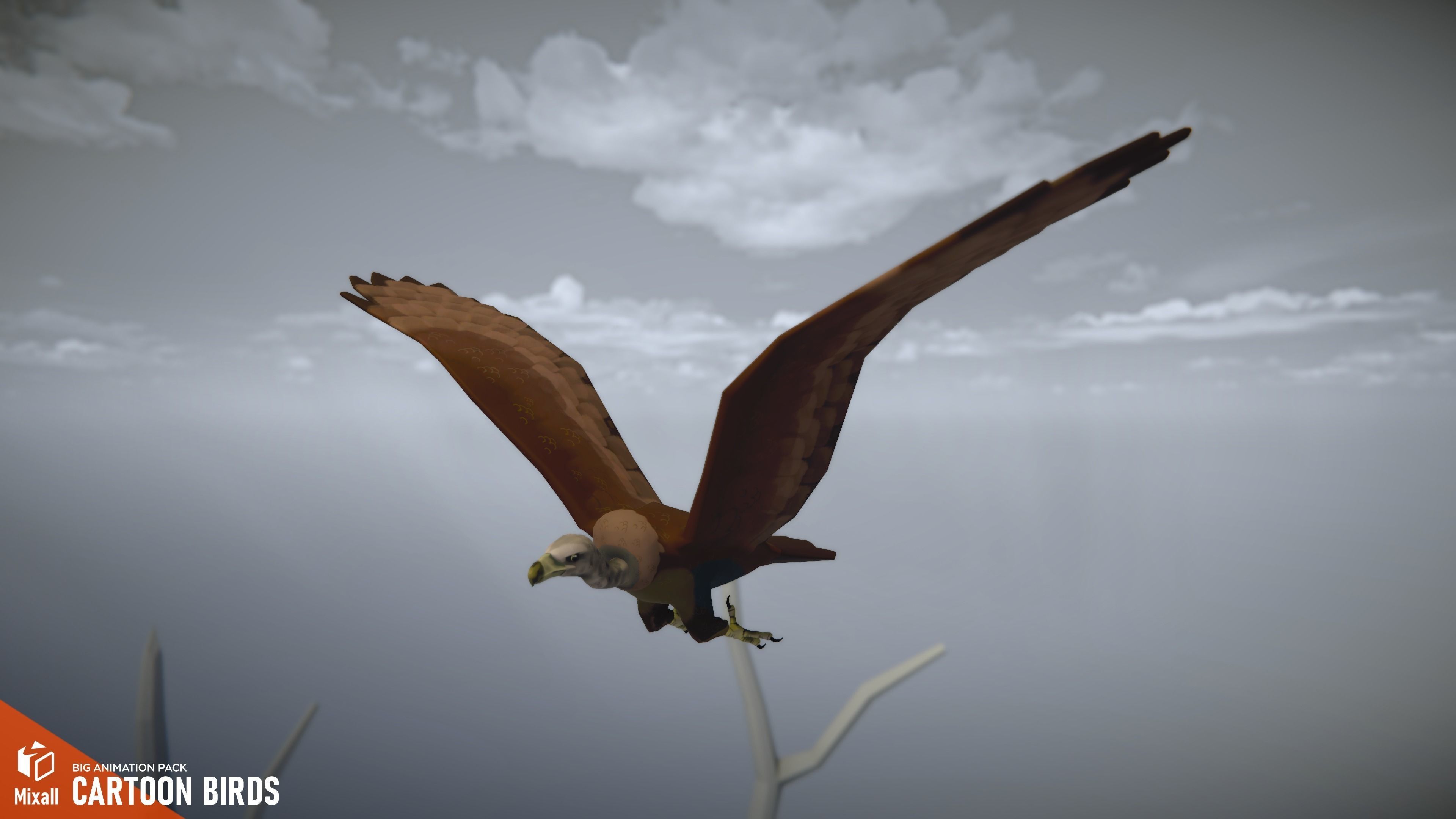 Cartoon birds - big animation pack 3D model_8