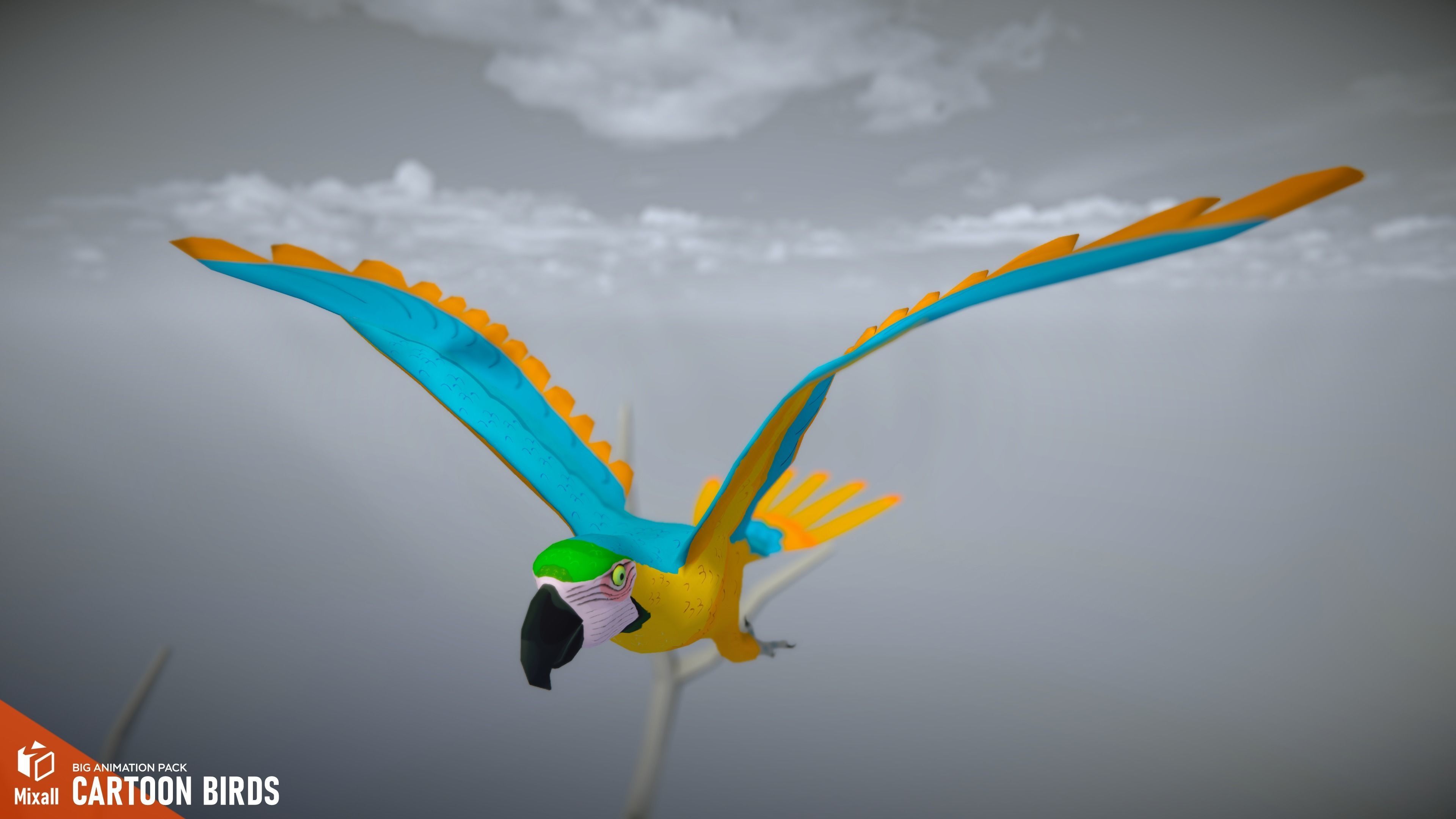Cartoon birds - big animation pack 3D model_19