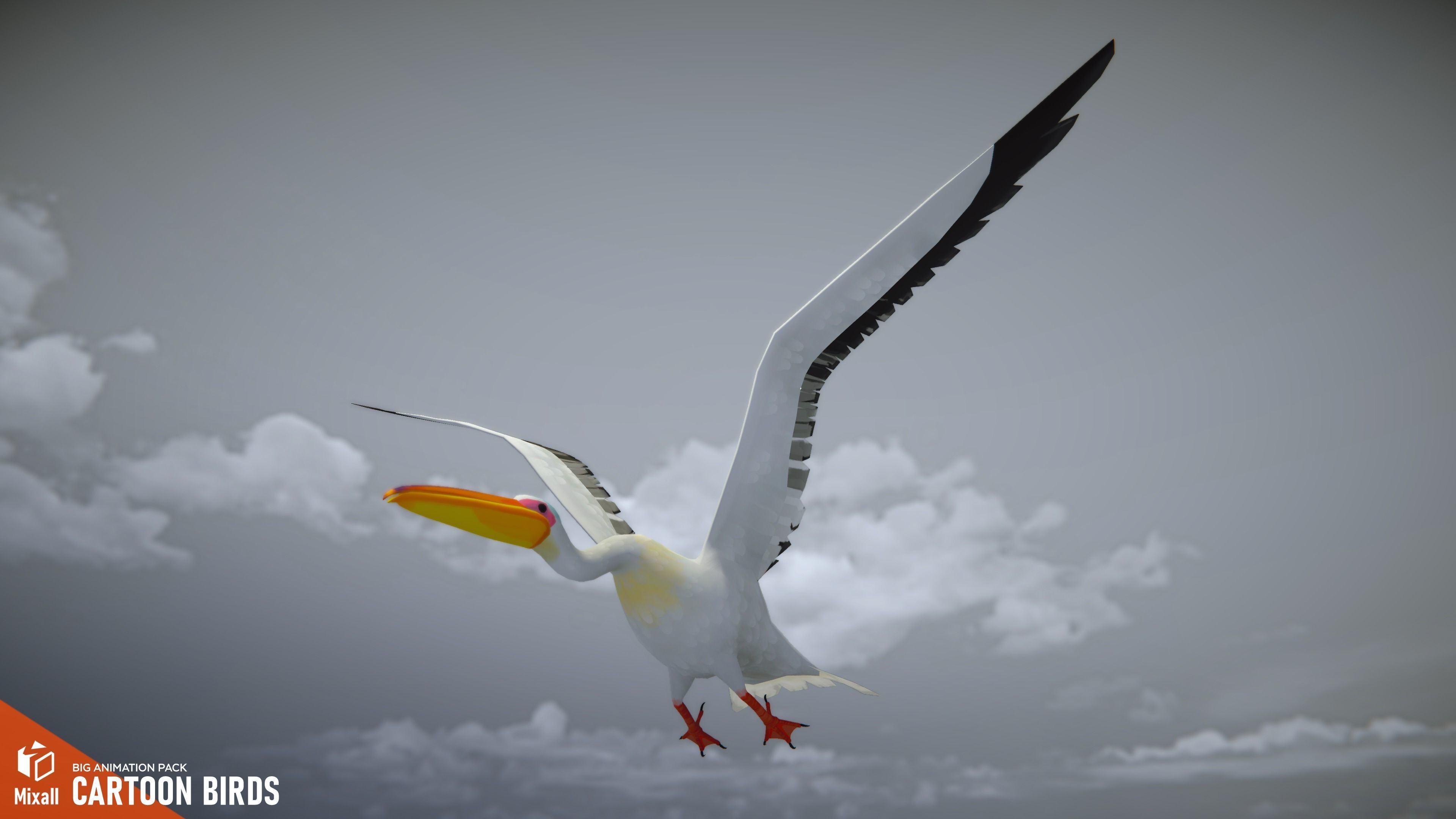 Cartoon birds - big animation pack 3D model_9