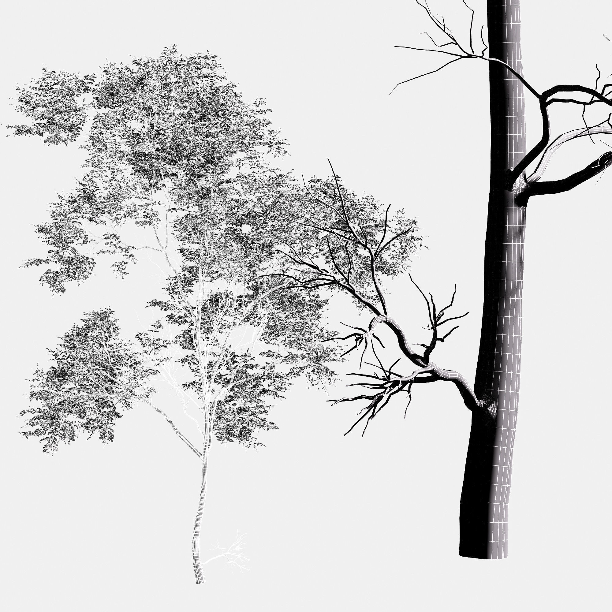 6 Different SETS of Tree SET VOL75 3D Model Collection_17