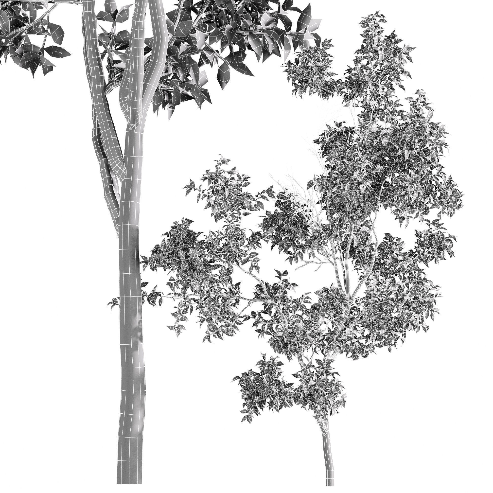 6 Different SETS of Tree SET VOL75 3D Model Collection_14